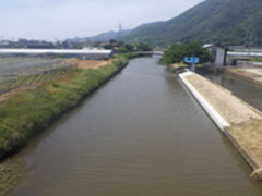 河川工事・事例写真