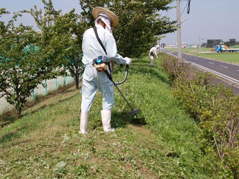 草刈り・草抜き