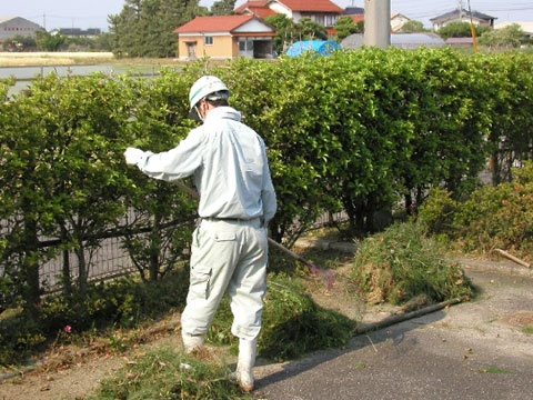 草刈り・草抜き