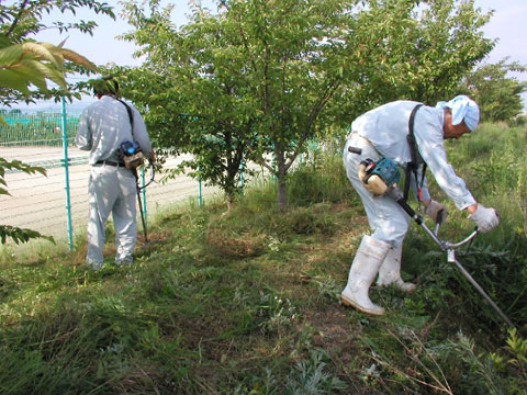 草刈り・草抜き