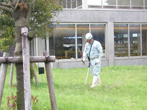 草刈り・草抜き