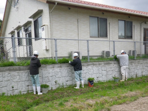 草刈り・草抜き